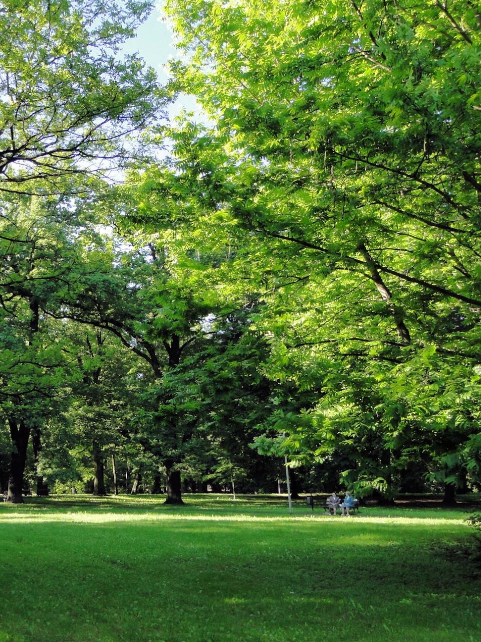 Szczecin City Park